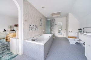 Photo 9- click for photo gallery